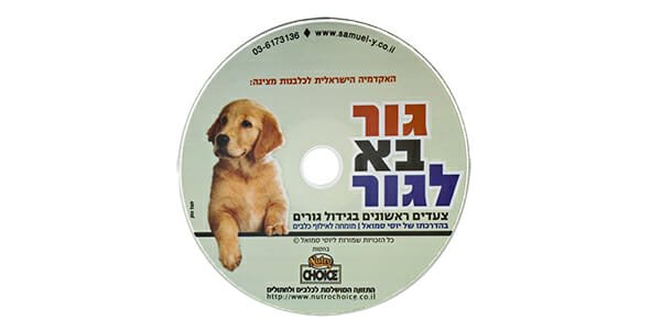 3 - שכפול דיסקים